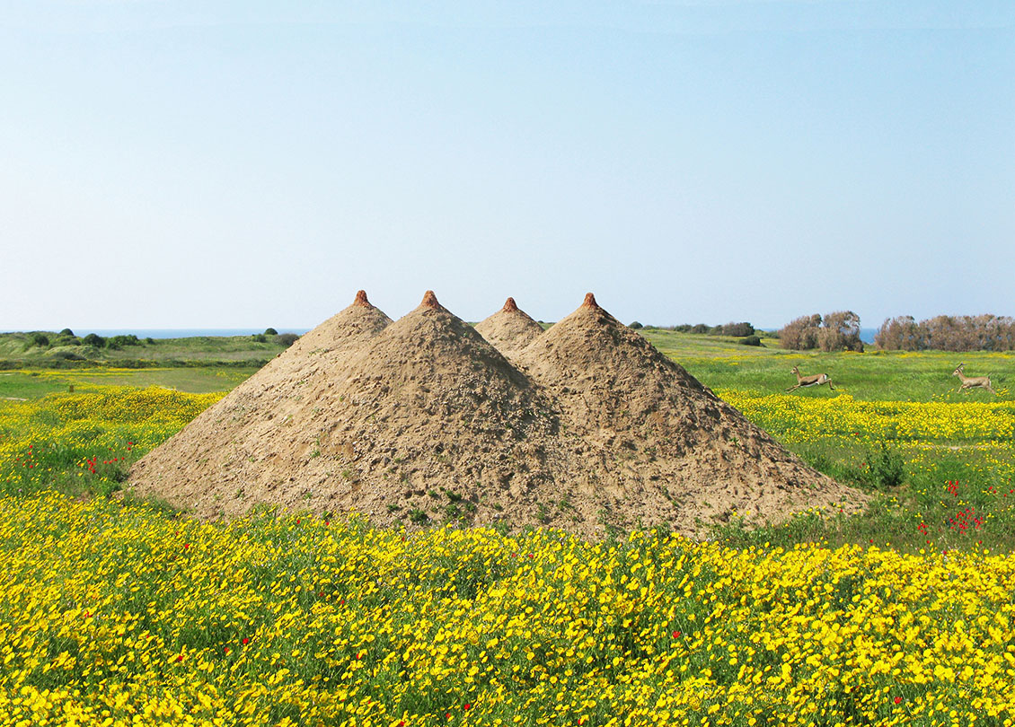 Tanya Preminger. "Pyramid". Arsuf Kedem, Israel.