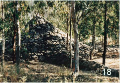 טניה פרמינגר. בניין. 1989.