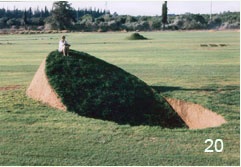 טניה פרמינגר. איזון. 1989.