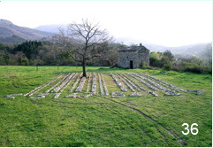 Bob Budd. Bar Code. 2007. Tree, stone.