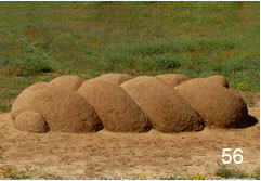 דניאל מנהיים. חלה, 2010. דניאל מנהיים. חלה, 2010.