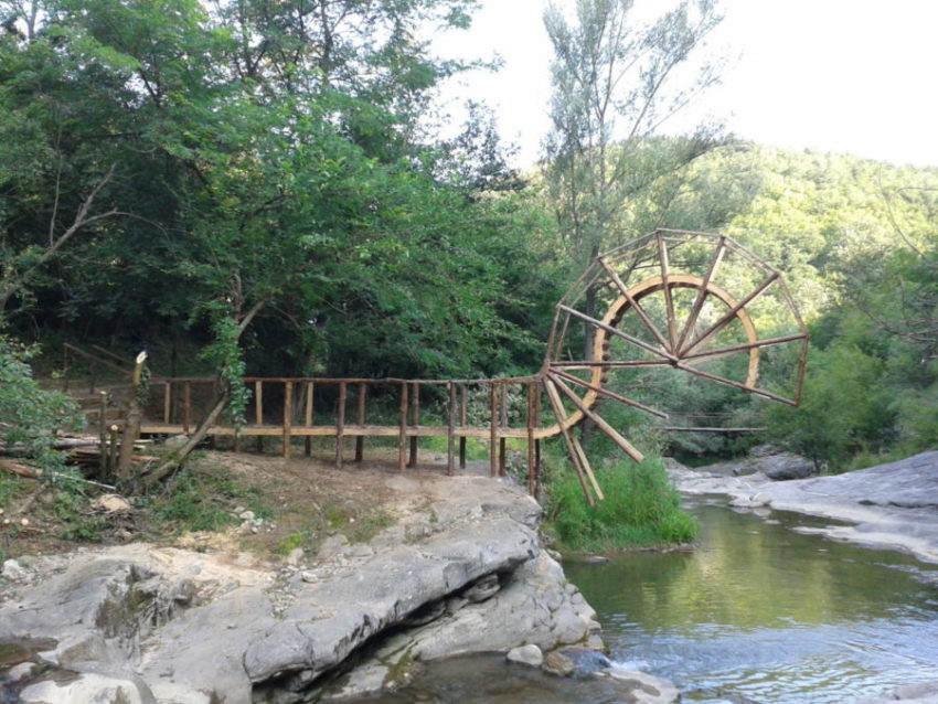 Startled bridge - Tanya Preminger