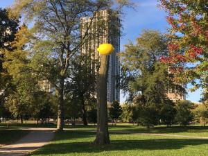 Irene Hoppenberg_Lemon Tree_lemon, styrofoam +paint, 90 x 150 x 90 cm,  with tree trunk 8 m h,  Chicago Sculpture Tree Project, Lincoln Park, Chicago, USA, 2019. http://irenehoppenberg.de  