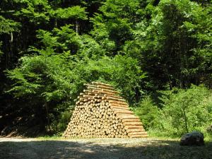 Cornelia Konrads. Piled forest, 2006 pine trunks, iron. 4.4 m high x 2.7 m long x 1.2 m wide . Borgo Valsugana (Italy). www.cokonrads.de