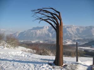 Patrick DEMAZEAU dit MADE. L'arbre des quatre vents, 2010 Rusty iron.3m x 3m x 2m. Vatilieu, France . http://nature.art.free.fr