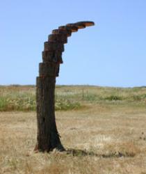 "The Generous Tree". The Green gallery, Israel.