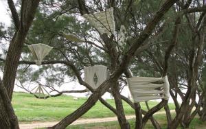 First Aid", 2009. Tree, bandages. Various size. The Green gallery, Israel.