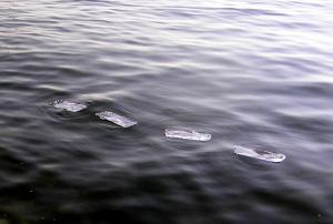 Ehud Schori. Footprints on Water. 2006. Aluminum foil, 20 cm long. Sea of Galilee, Israel.