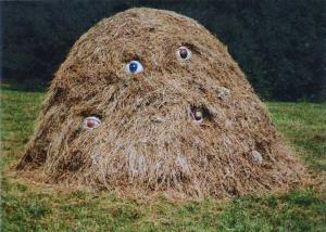 Snejana Simeonova. Hay, 1995 hay and terracotta's eyes.220/220/220 cm Sofia, Bulgaria. www.snejanasimeonova.com