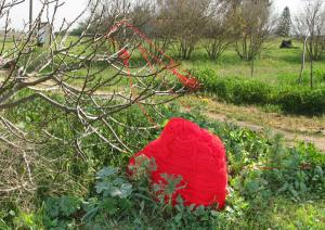 Rotem Ben Shalush, Yosi Barhom. "Red Wool"