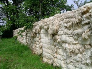 Bob Budd. Sheep’s Wall, 2009 Sheep fleeces, wood and books.1300 x 120 x 70 cm. Devon, England. www.axisweb.org/artist/bobbudd