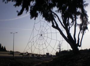 Daniel Manheim. Spider web. 2008. Rope. 7 x 10 m. Arsuf Kedem, Israel.