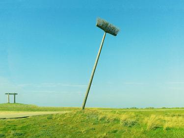 Dani Manheim, "Old broom"