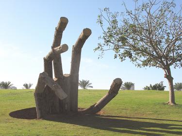 "Roots", Israel 2011. Wood. Park Shikma Rishon Lezion.