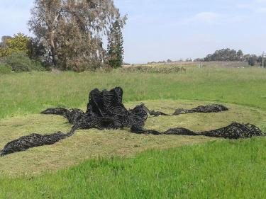 Ella Beit-Halachmi. "Limpha". 2008. Plastic irrigation pipes.