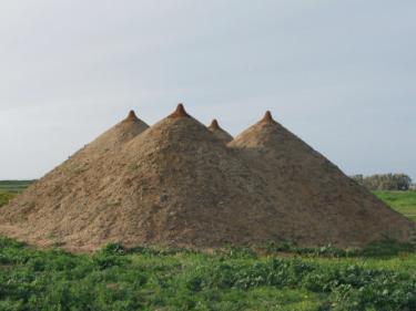 "Pyramid", Israel 2009. Earth, grass, 400x1200x1200 cm.