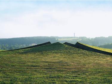 "Ritual Cut", Latvia, 2009. Earth, grass, 4.5 x 60 x 75 meter. 