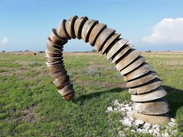 Tanya Preminger, "Tail"