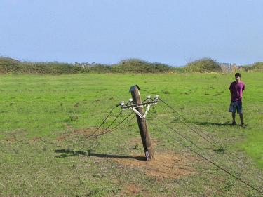  Doron Livne, Boaz Levi. "Electricity Line".