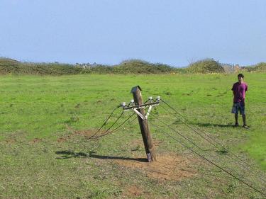  Doron Livne, Boaz Levi. "Electricity Line".