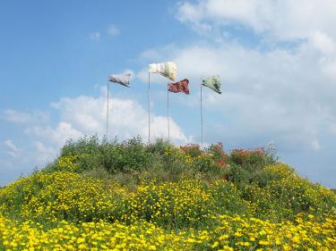 טניה פרמינגר. "מזג אויר". 2011. אדמה, ברזל, שמלות. 6X12X12 מטר.