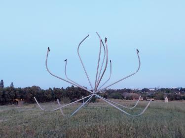 דני מנהיים, "סביון"